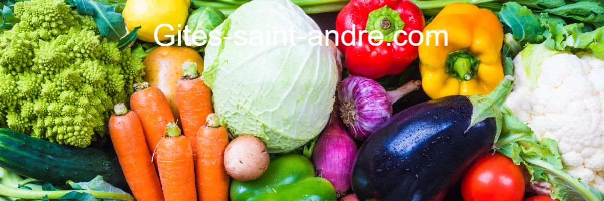 gites-saint-andre.us-mag.club